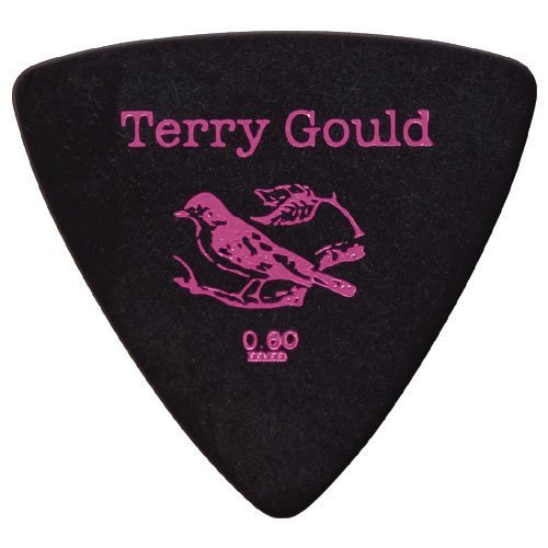 Hunp back ピック Amazon | PICKBOY テリーゴールド GP-TG-RB/06 ギターピック